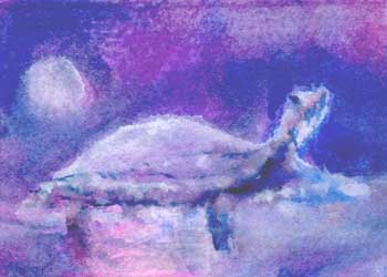 Midnight Turtle Mary Somers Fitchburg WI watercolor